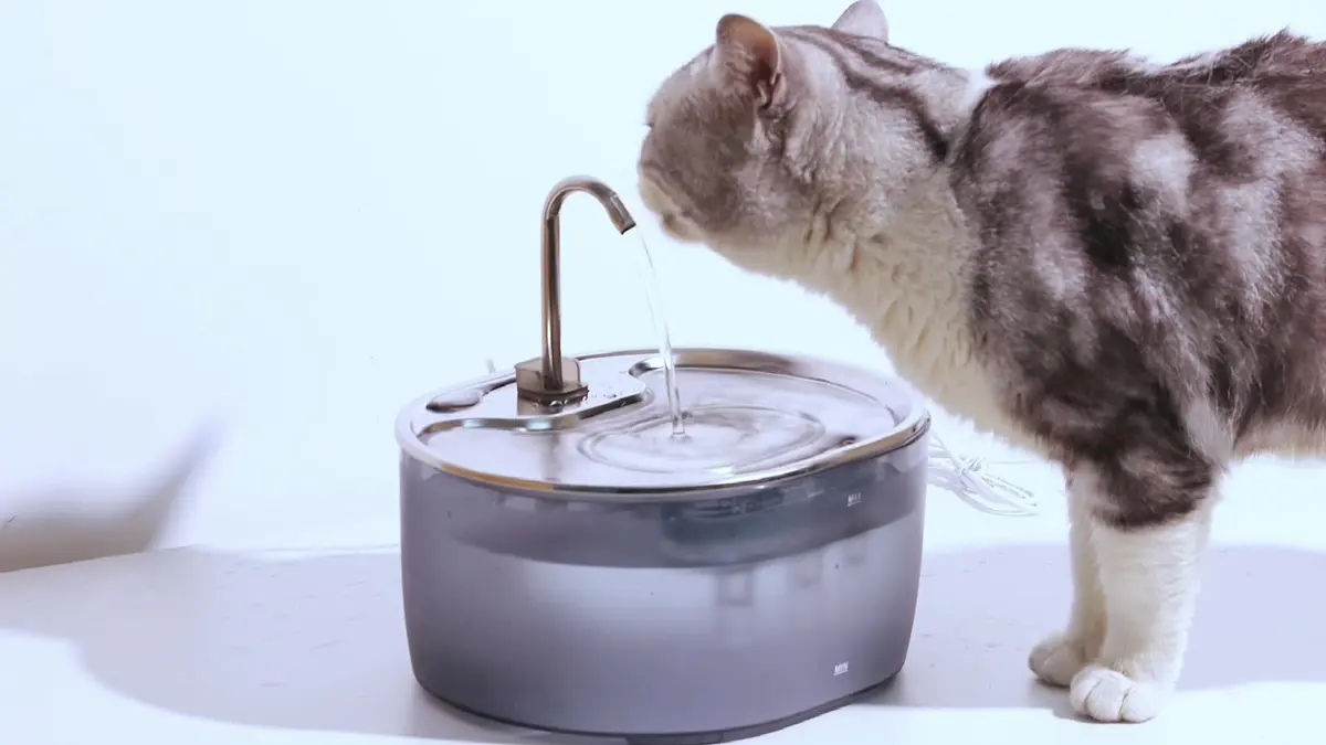 3.2L Eco-Friendly Anti-Splash Automatic Bowl Feeder Durable Stainless Steel PP Modern for Wholesale & OEM Programs detail