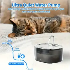 3.2L Eco-Friendly Anti-Splash Automatic Bowl Feeder Durable Stainless Steel PP Modern for Wholesale & OEM Programs view 4