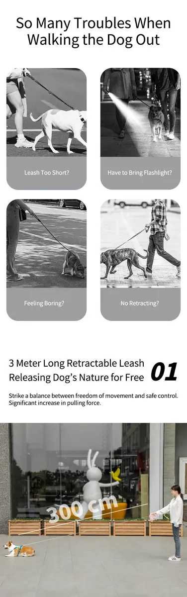 Custom Nylon Automatic Retractable Pet Dog Leash Cute & Modern Style CW-04 for Dogs for Wholesale & OEM Programs detail