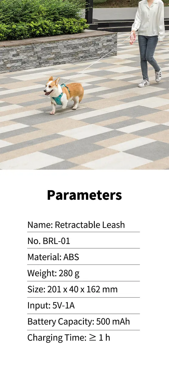 Custom Nylon Automatic Retractable Pet Dog Leash Cute & Modern Style CW-04 for Dogs for Wholesale & OEM Programs detail