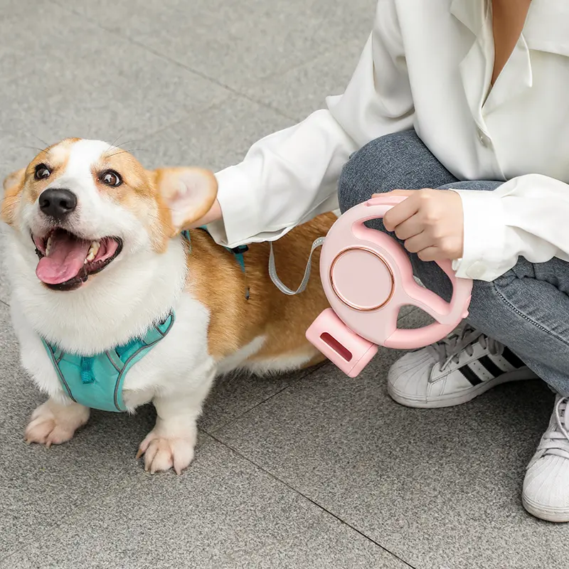 Custom Nylon Automatic Retractable Pet Dog Leash Cute & Modern Style CW-04 for Dogs for Wholesale & OEM Programs