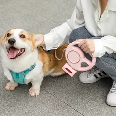 Custom Nylon Automatic Retractable Pet Dog Leash Cute & Modern Style CW-04 for Dogs for Wholesale & OEM Programs view 1