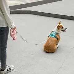 Custom Nylon Automatic Retractable Pet Dog Leash Cute & Modern Style CW-04 for Dogs for Wholesale & OEM Programs view 2
