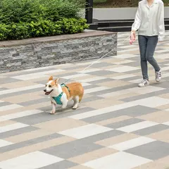Custom Nylon Automatic Retractable Pet Dog Leash Cute & Modern Style CW-04 for Dogs for Wholesale & OEM Programs view 4