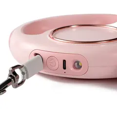 Custom Nylon Automatic Retractable Pet Dog Leash Cute & Modern Style CW-04 for Dogs for Wholesale & OEM Programs view 6