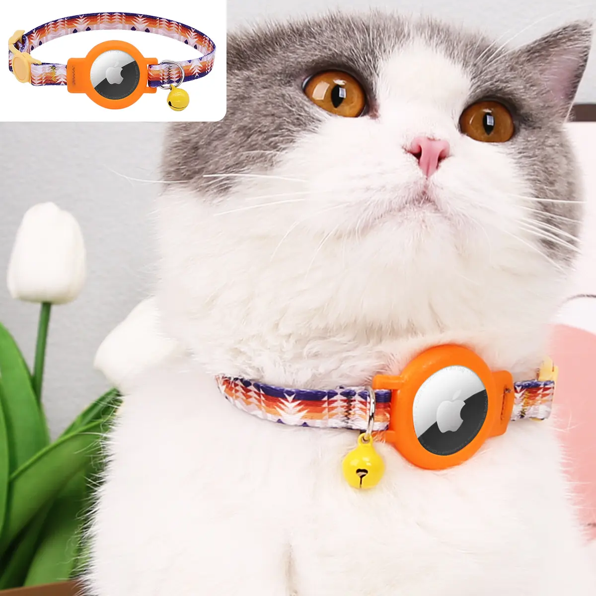 Modern Classic Luxury Cat Collar Daily Care Supplies for Cats for Wholesale & OEM Programs detail