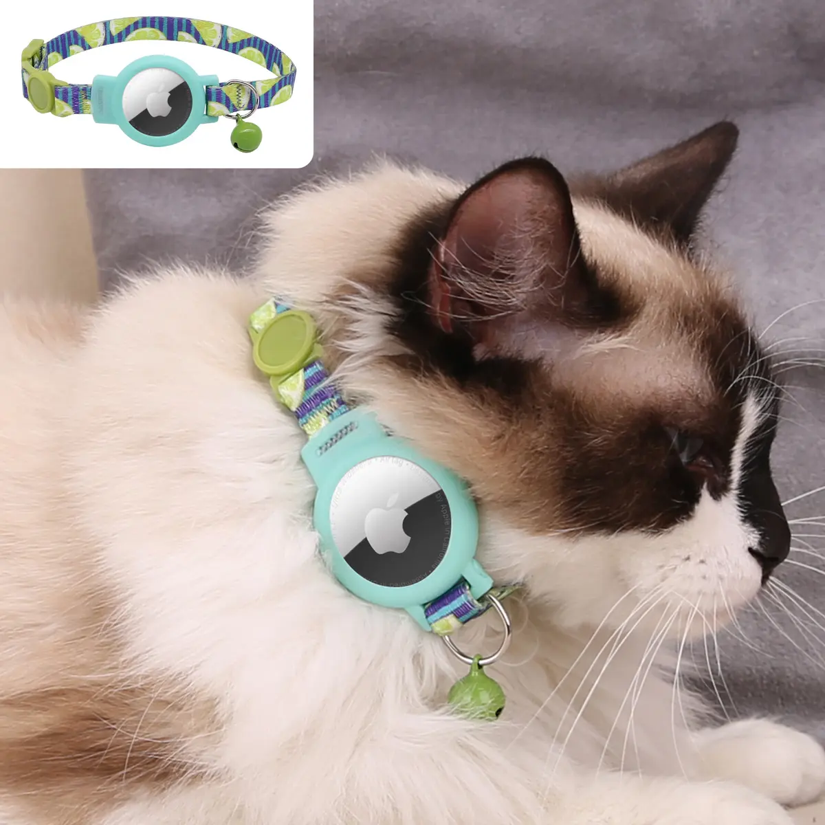 Modern Classic Luxury Cat Collar Daily Care Supplies for Cats for Wholesale & OEM Programs detail