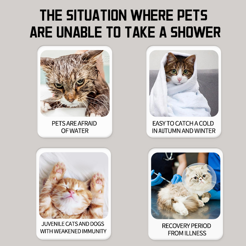 Cat Shampoo Acrylic Fragrance Retention Sterilization Bacteria Removal Mite for Cats for Wholesale & OEM Programs detail