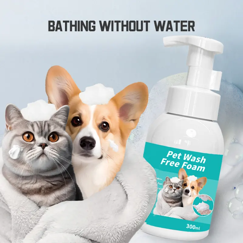 Cat Shampoo Acrylic Fragrance Retention Sterilization Bacteria Removal Mite for Cats for Wholesale & OEM Programs detail