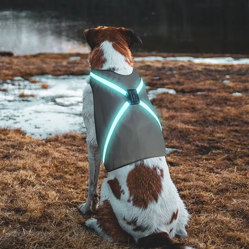 Factory Modern Striped Spring Polyester Reflective LED Dog Harness 8-color LEDs for Dogs for Wholesale & OEM Programs detail