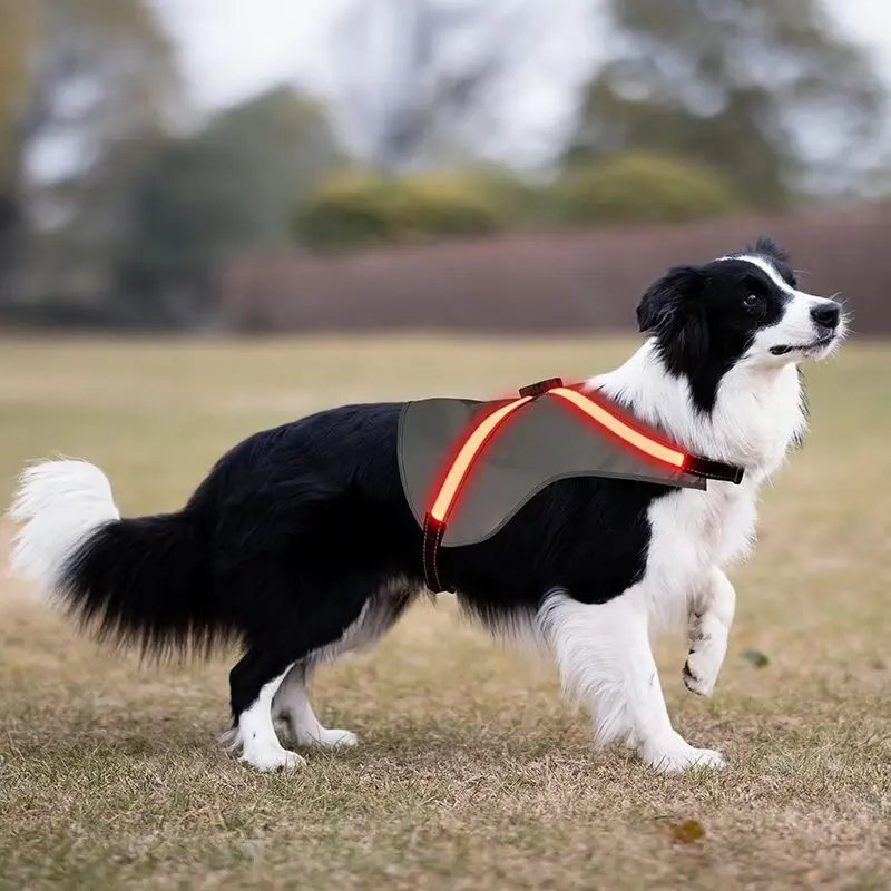 Factory Modern Striped Spring Polyester Reflective LED Dog Harness 8-color LEDs for Dogs for Wholesale & OEM Programs detail