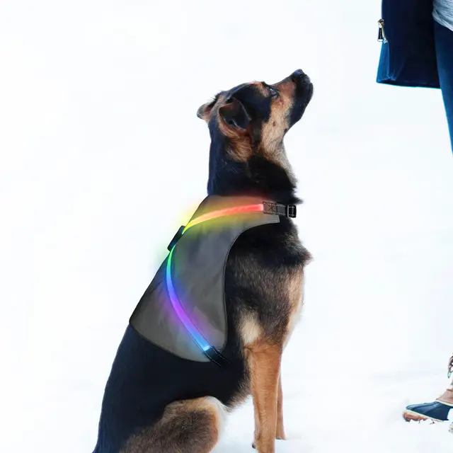 Factory Modern Striped Spring Polyester Reflective LED Dog Harness 8-color LEDs for Dogs for Wholesale & OEM Programs