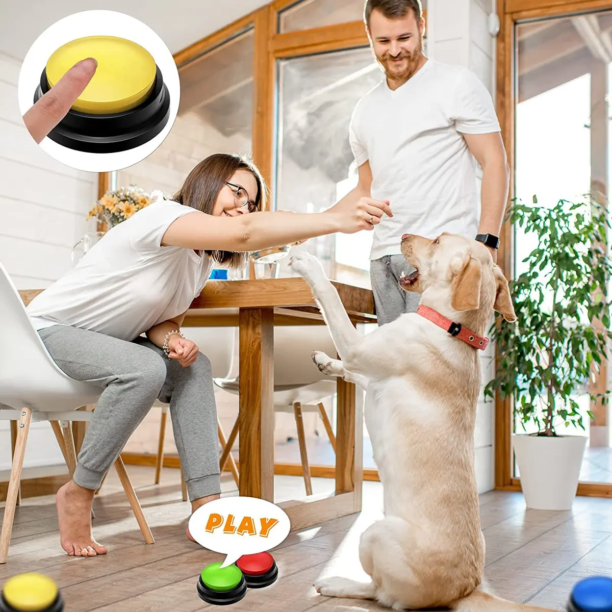 Pet Communication Button Dog Talking Sound Box Training Toy Recorder Sound Maker for pet communication, dog training for Wholesale & OEM Programs detail