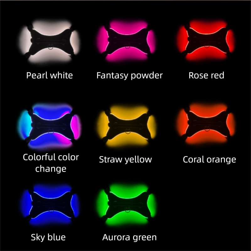 Custom Large RGB LED Light Reflective Dog Harness Rechargeable Oxford Vest Winter for Dogs for Wholesale & OEM Programs view 3