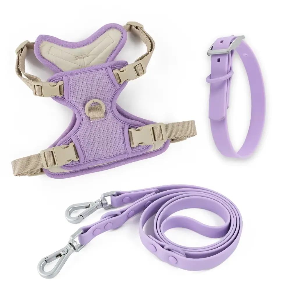 Custom Logo Adjustable Puppy Dog Leash Collar Outdoor Walking Accessories Dog Leashes for Wholesale & OEM Programs detail
