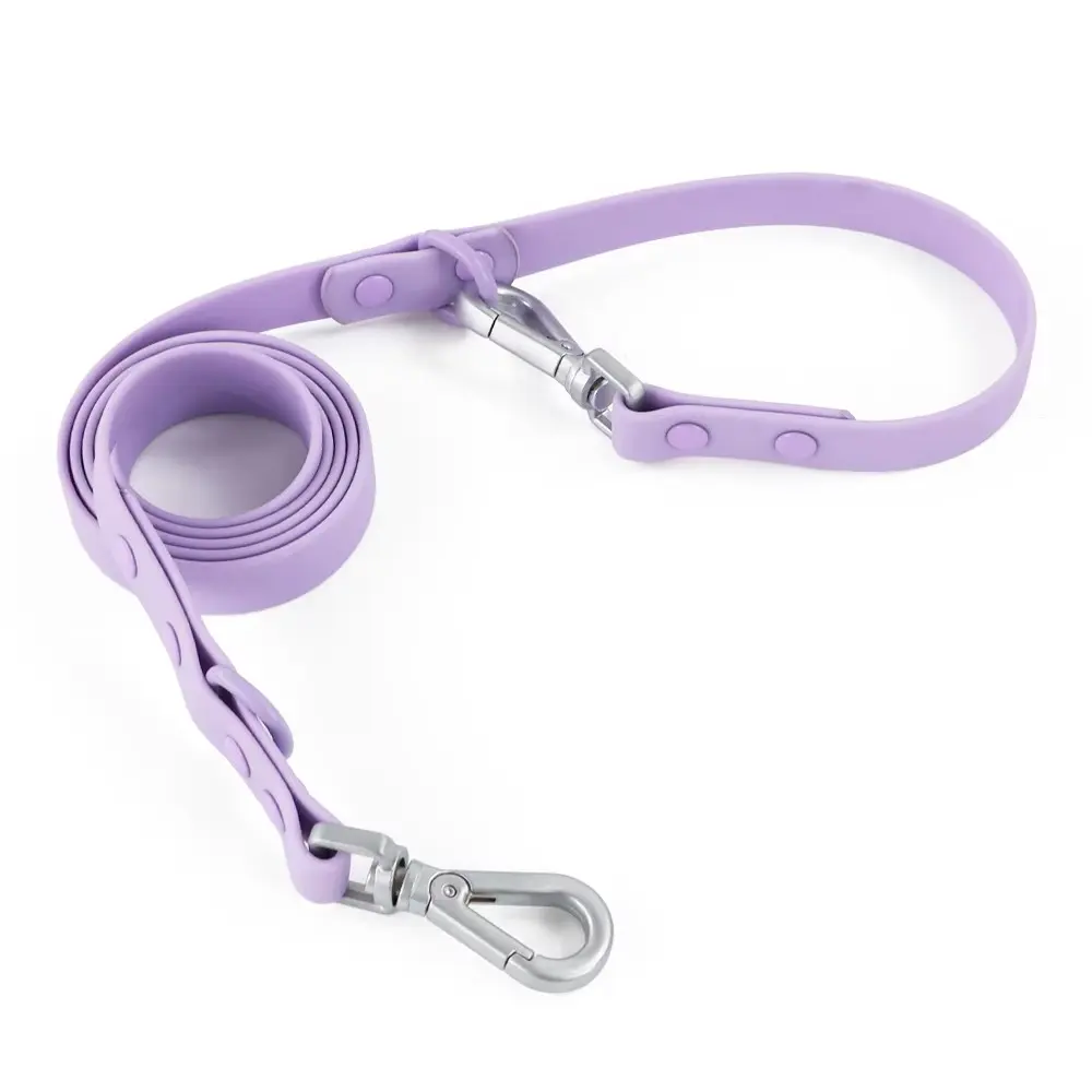 Custom Logo Adjustable Puppy Dog Leash Collar Outdoor Walking Accessories Dog Leashes for Wholesale & OEM Programs detail