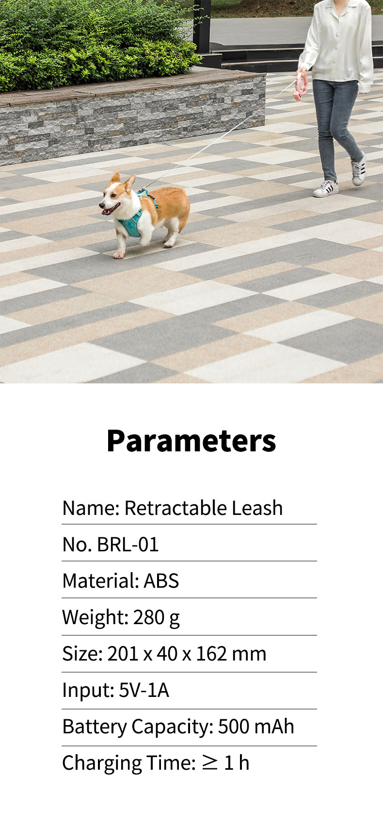 Custom Nylon Automatic Retractable Pet Dog Leash Cute & Modern Style CW-04 for Dogs for Wholesale & OEM Programs detail