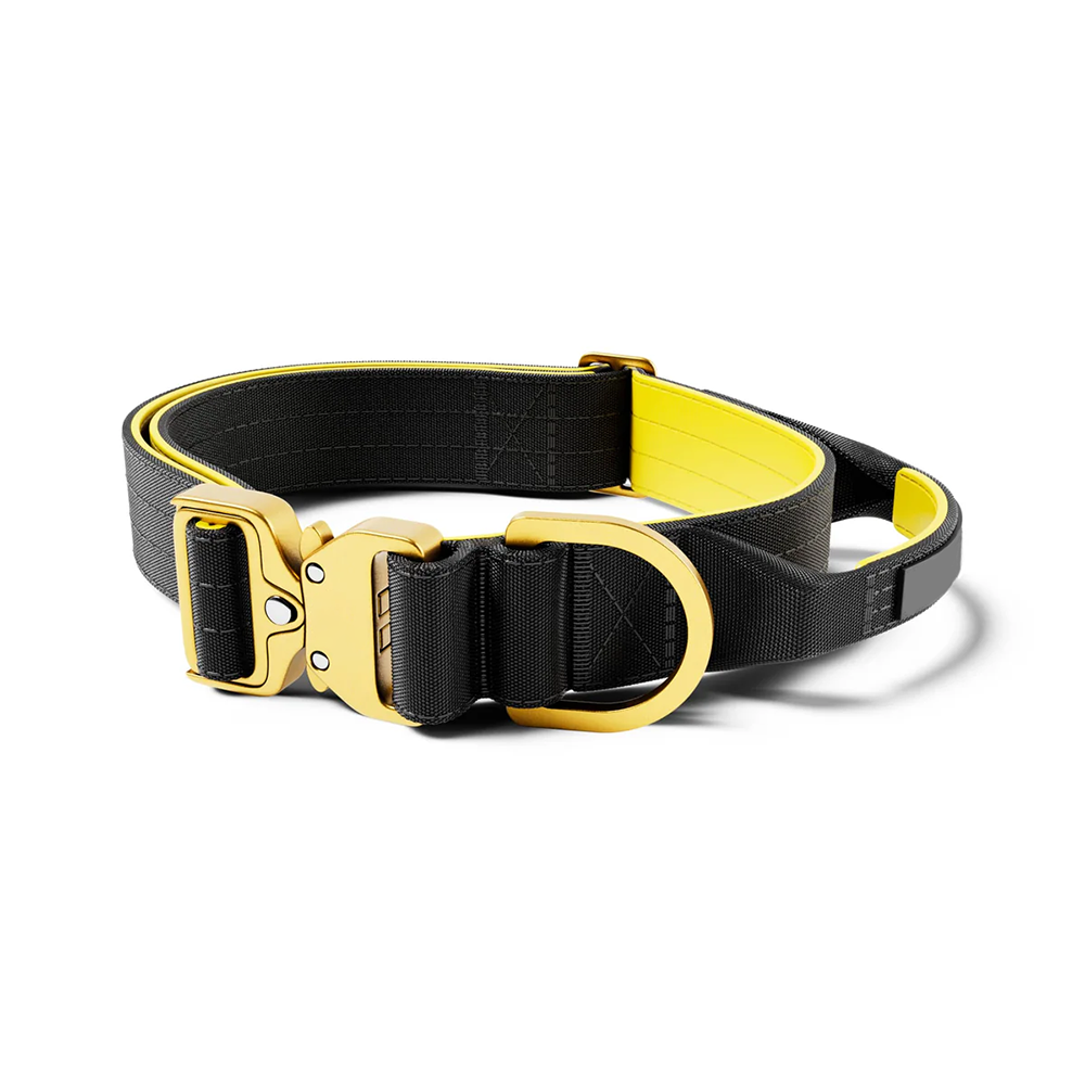 Customized Logo Color Blocking Design Pet Outdoor Training Nylon Tactical Heavy Duty for Wholesale & OEM Programs view 3