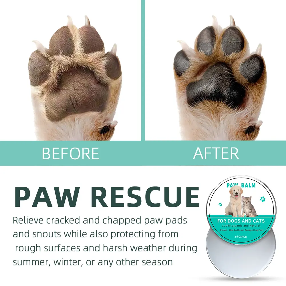 Hot-Selling Cute Pet Cartoon Dog Foot Moisturizing Claw Cream Anti-Dry Crack for Dogs for Wholesale & OEM Programs detail