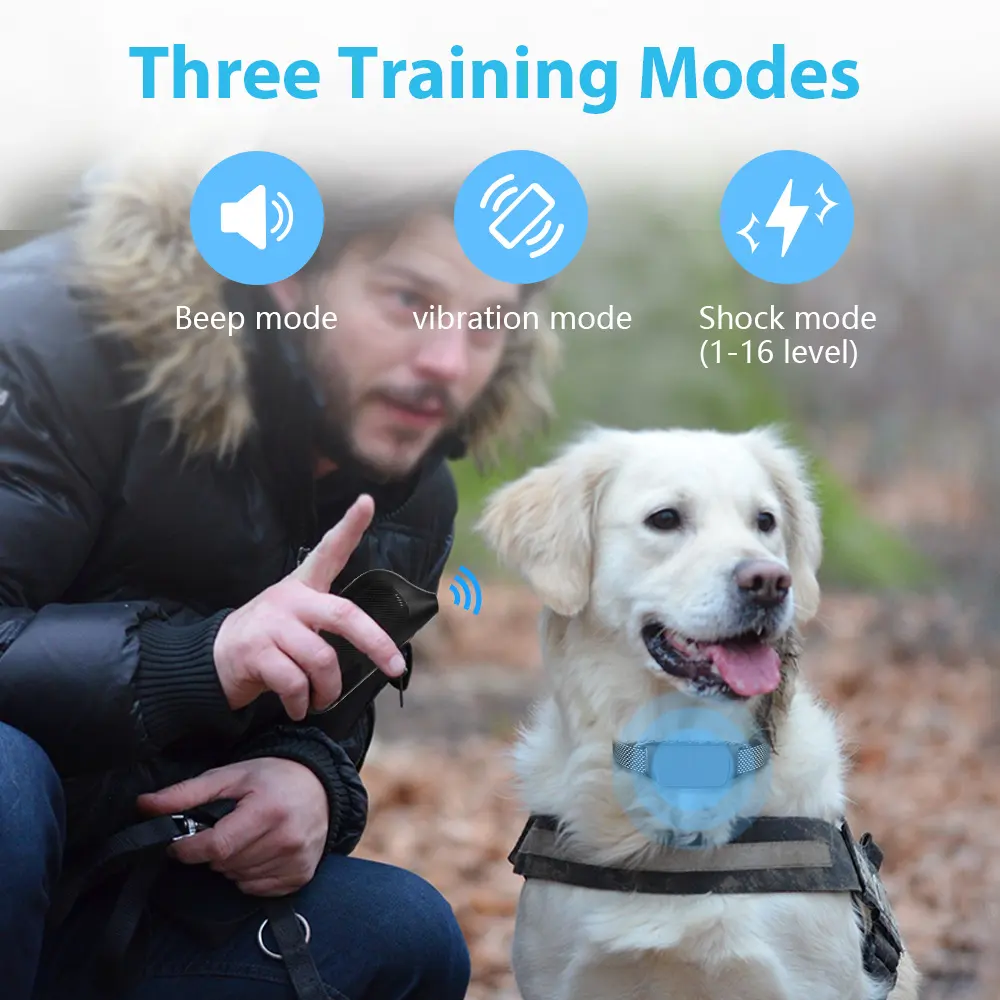 Factory Pet Training Supplies Large Medium-sized Dog Trainer P-collar 661-A for Dogs for Wholesale & OEM Programs detail