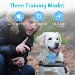 Factory Pet Training Supplies Large Medium-sized Dog Trainer P-collar 661-A for Dogs for Wholesale & OEM Programs view 3