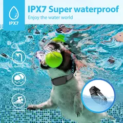 Factory Pet Training Supplies Large Medium-sized Dog Trainer P-collar 661-A for Dogs for Wholesale & OEM Programs view 4