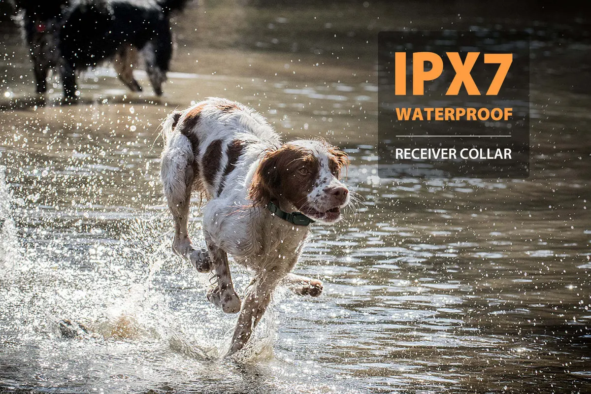 Professional Dog Training Shock Collar TPU/PC 900M Long Distance Remote Control for Dogs for Wholesale & OEM Programs detail