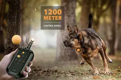 Professional Dog Training Shock Collar TPU/PC 900M Long Distance Remote Control for Dogs for Wholesale & OEM Programs view 3
