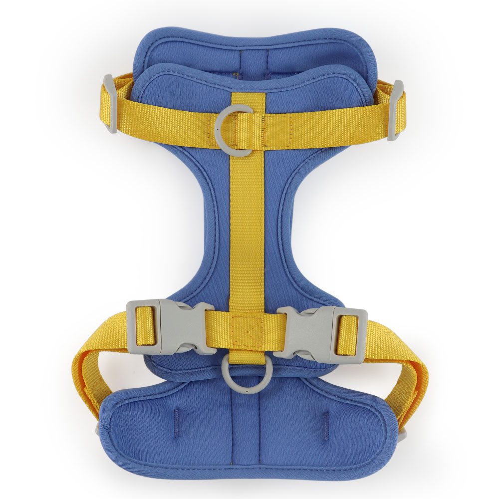 Fashion Padded Dog Harness Waterproof Dog Collar and Leash Plastic Air Layer Soft for Dogs for Wholesale & OEM Programs detail