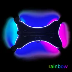 Source Manufacturers LED Optical Fiber Edge Bone Contour Light-emitting Saddle Type for Dogs for Wholesale & OEM Programs view 3