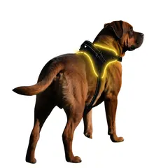 Source Manufacturers LED Optical Fiber Edge Bone Contour Light-emitting Saddle Type for Dogs for Wholesale & OEM Programs view 4