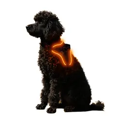 Source Manufacturers LED Optical Fiber Edge Bone Contour Light-emitting Saddle Type for Dogs for Wholesale & OEM Programs view 5