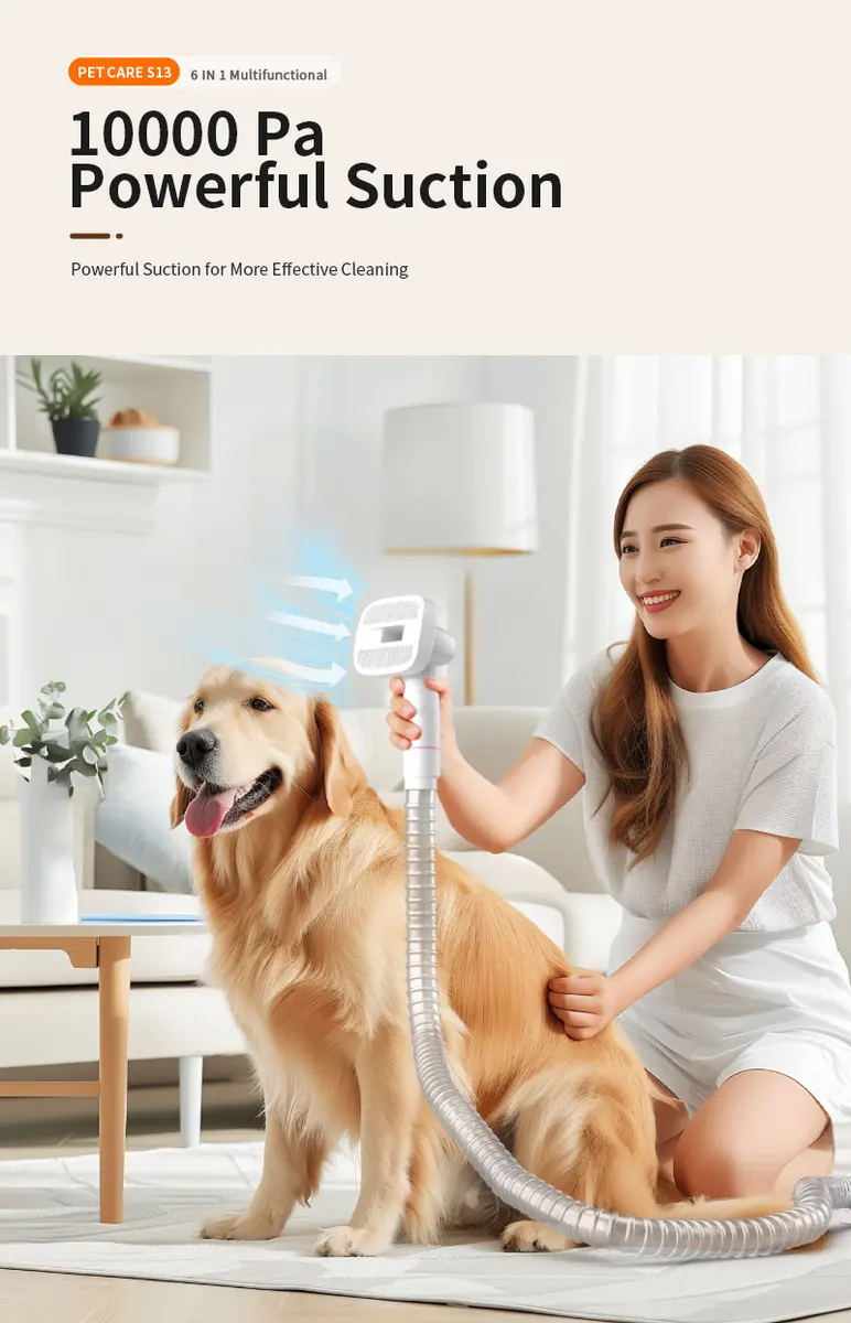 Factory Supplier Cat Dog Grooming Shedding Hair Cut Clipper Trimmer 6 Brushes Tool for Dogs for Wholesale & OEM Programs detail