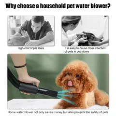 High-Power Stepless Speed Regulation Pet Hair Dryer Plastic Water Blower for Dogs for Wholesale & OEM Programs view 3