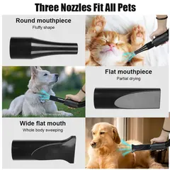 High-Power Stepless Speed Regulation Pet Hair Dryer Plastic Water Blower for Dogs for Wholesale & OEM Programs view 6