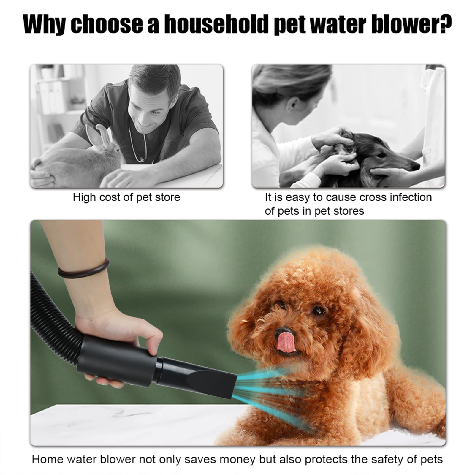 High-Power Stepless Speed Regulation Pet Hair Dryer Plastic Water Blower for Dogs for Wholesale & OEM Programs view 3