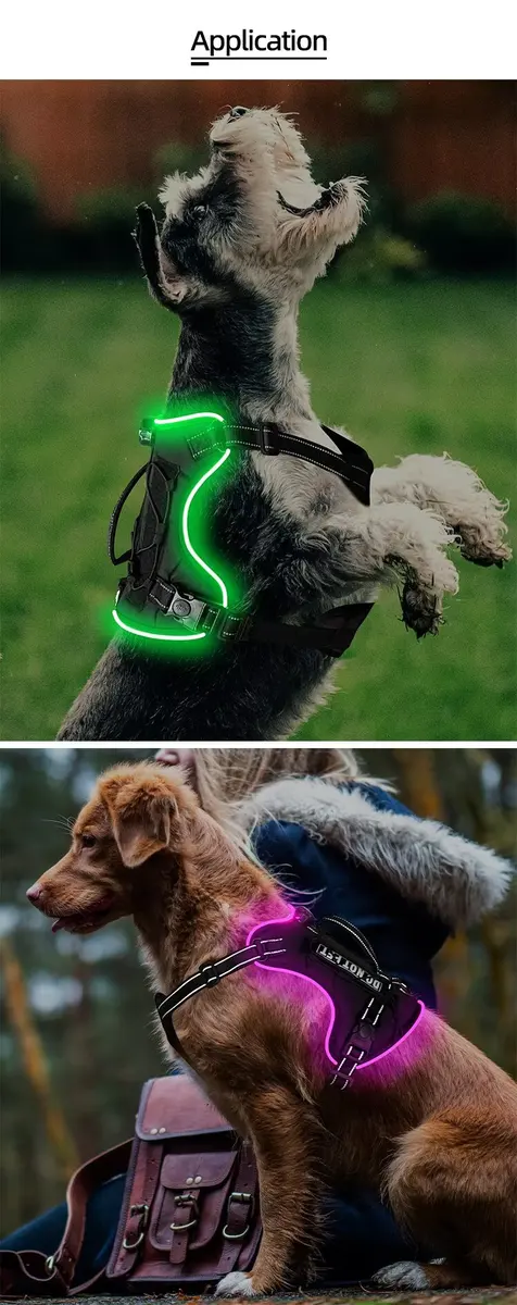 Custom Large Dog Vest Cute Classic Simple Pet Harness GH-104 for Dogs for Wholesale & OEM Programs detail