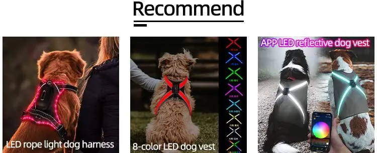 Custom Large Dog Vest Cute Classic Simple Pet Harness GH-104 for Dogs for Wholesale & OEM Programs detail