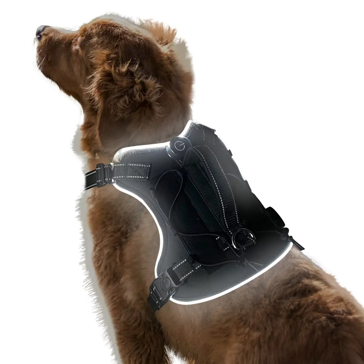 Custom Large Dog Vest Cute Classic Simple Pet Harness GH-104 for Dogs for Wholesale & OEM Programs