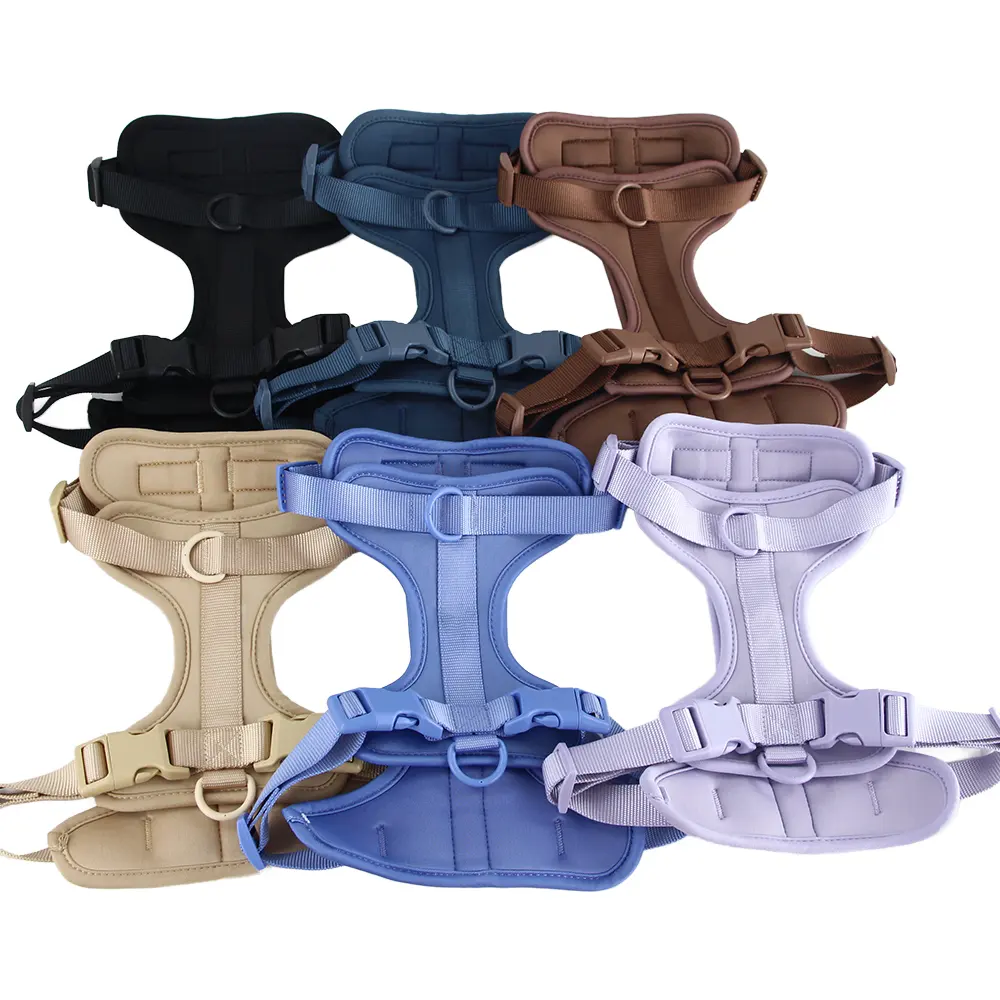 Adjustable Striped Pattern Dog Harness Large Dog Vest and Lead Walking Rope Luxury for Dogs for Wholesale & OEM Programs detail