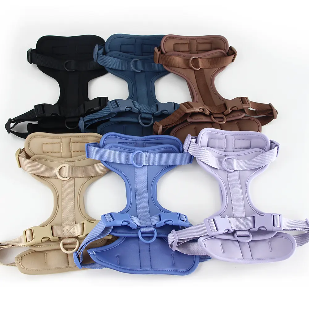Adjustable Striped Pattern Dog Harness Large Dog Vest and Lead Walking Rope Luxury for Dogs for Wholesale & OEM Programs