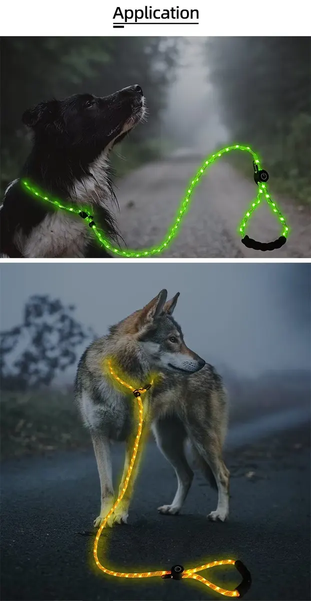 LED Light-Up Dog Leash Night Use Protective Sporty Glow-in-the-Dark Polyester Rope for Cats for Wholesale & OEM Programs detail