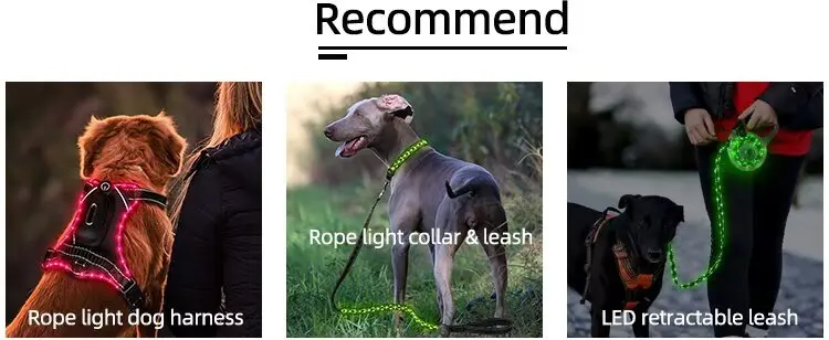 LED Light-Up Dog Leash Night Use Protective Sporty Glow-in-the-Dark Polyester Rope for Cats for Wholesale & OEM Programs detail