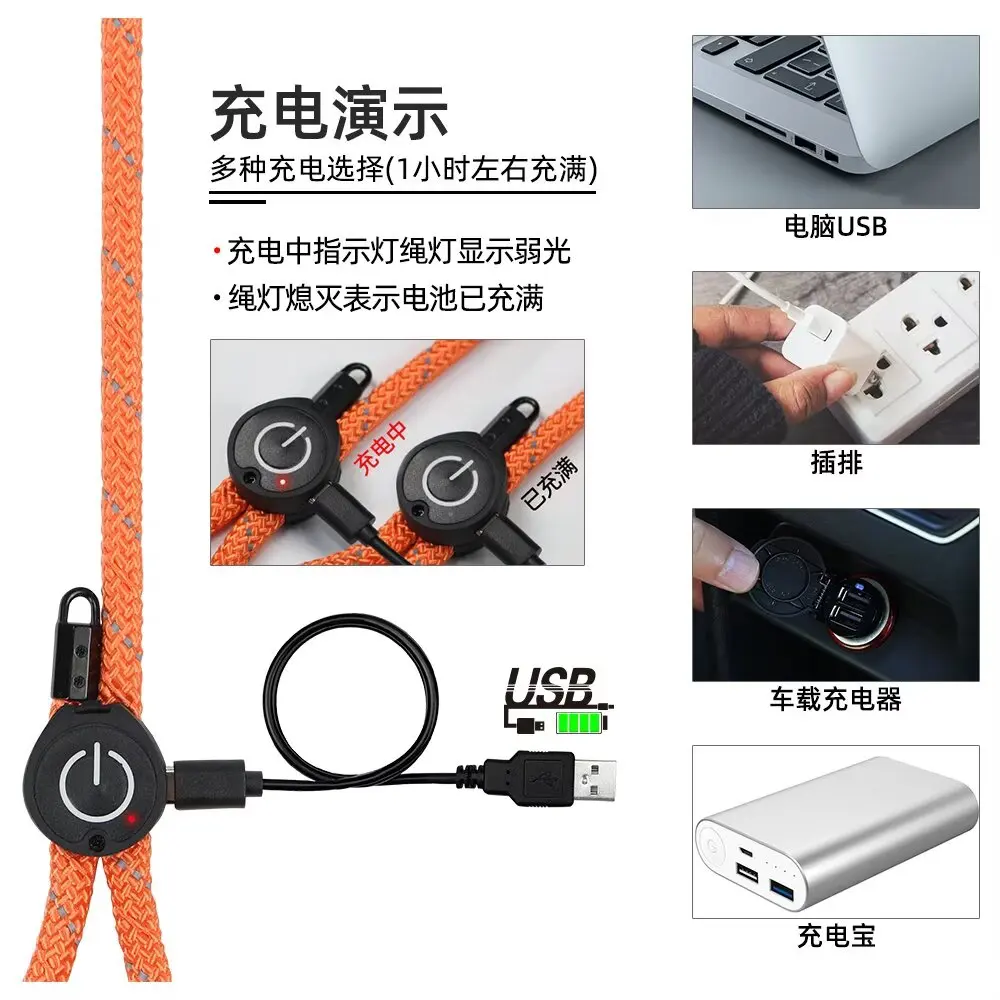 LED Light-Up Dog Leash Night Use Protective Sporty Glow-in-the-Dark Polyester Rope for Cats for Wholesale & OEM Programs detail