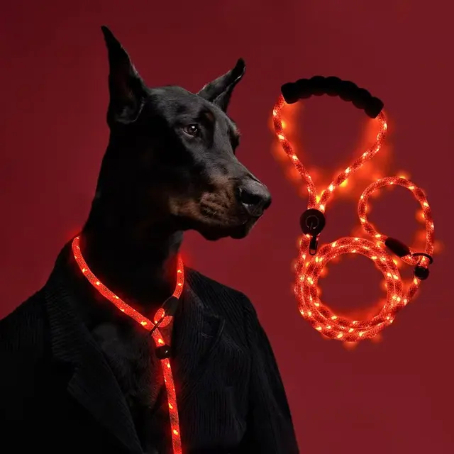 LED Light-Up Dog Leash Night Use Protective Sporty Glow-in-the-Dark Polyester Rope for Cats for Wholesale & OEM Programs