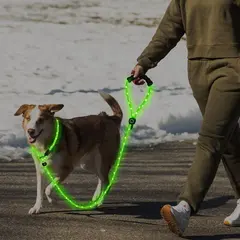 LED Light-Up Dog Leash Night Use Protective Sporty Glow-in-the-Dark Polyester Rope for Cats for Wholesale & OEM Programs view 2