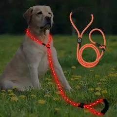 LED Light-Up Dog Leash Night Use Protective Sporty Glow-in-the-Dark Polyester Rope for Cats for Wholesale & OEM Programs view 3