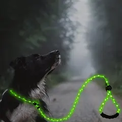 LED Light-Up Dog Leash Night Use Protective Sporty Glow-in-the-Dark Polyester Rope for Cats for Wholesale & OEM Programs view 4