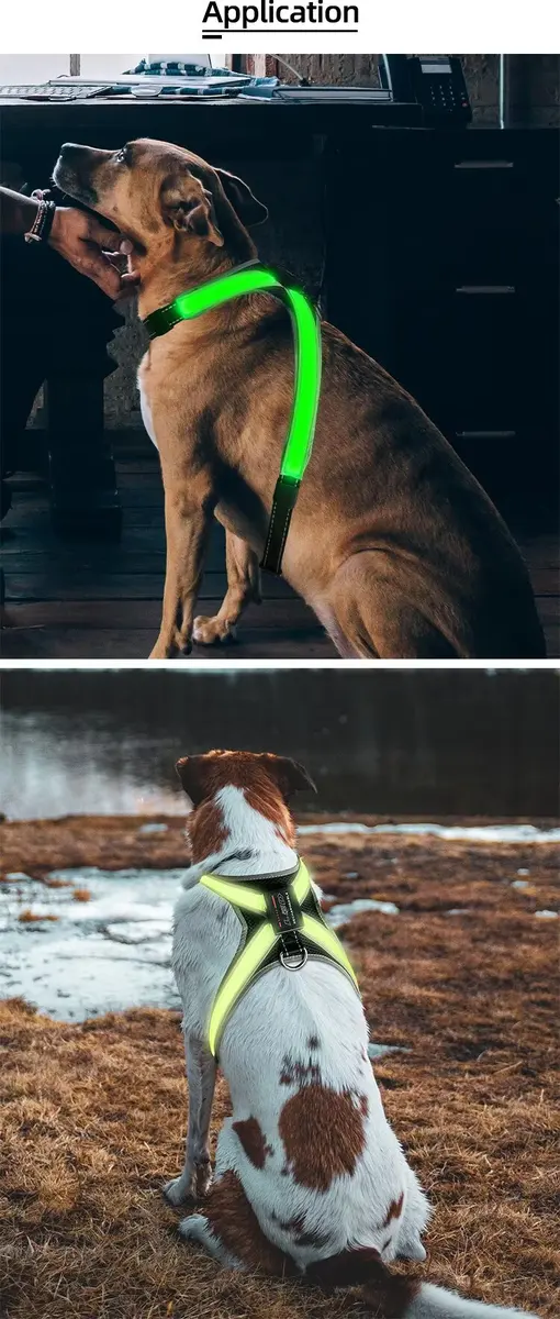 Newly Designed LED Dog Vest Harness Light Emitting CD1112 for Dogs for Wholesale & OEM Programs detail