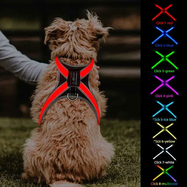 Newly Designed LED Dog Vest Harness Light Emitting CD1112 for Dogs for Wholesale & OEM Programs